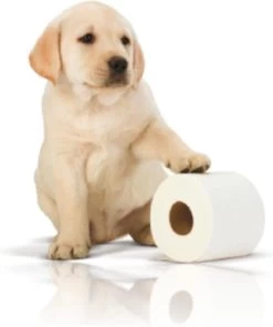 Page Toiletpapier - 32 Rollen - Kussenzacht Wc Papier (3-laags) - Voordeelverpakking -Huishoudelijke Schoonmaak 1001x1200 1