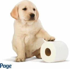 Page Toiletpapier - Eco - Duurzaam - 24 Rollen - Voordeelverpakking -Huishoudelijke Schoonmaak 1200x1186 4