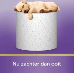 Page Toiletpapier - Kussenzacht Wc Papier - Voordeelverpakking - 24 Rollen 19 Page Toiletpapier - Kussenzacht Wc Papier - Voordeelverpakking - 24 Rollen -Huishoudelijke Schoonmaak 1200x1186 5