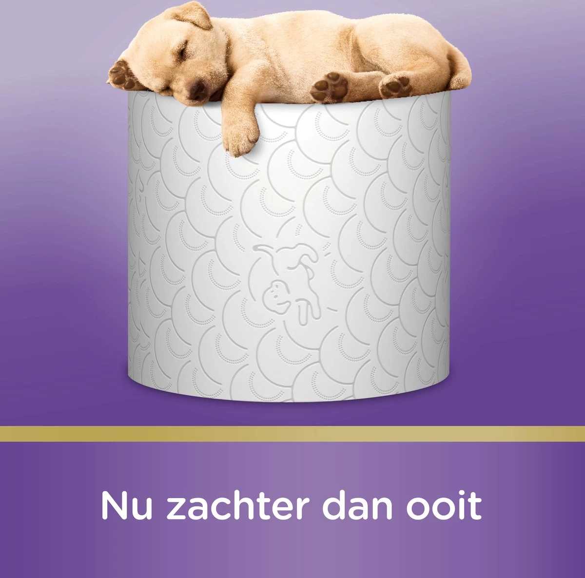 Page Toiletpapier - Kussenzacht Wc Papier - Voordeelverpakking - 24 Rollen 10 Page Toiletpapier - Kussenzacht Wc Papier - Voordeelverpakking - 24 Rollen - Afbeelding 10