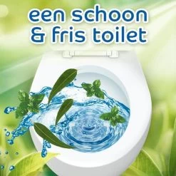 Witte Reus Pro Nature Munt Eucalyptus - 10 Stuks -Huishoudelijke Schoonmaak 1200x1200 1152