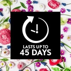 Air Wick Essential Mist Automatische Geurverspreider Luchtverfrisser - Innerlijke Rust - Navulling -Huishoudelijke Schoonmaak 1200x1200 1216