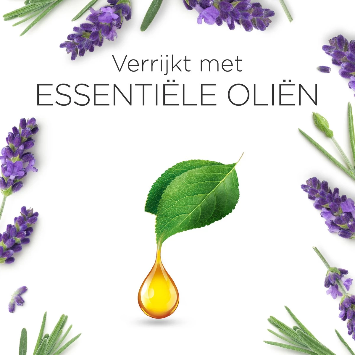 Air Wick Essential Mist Luchtverfrisser - Ontspannende Lavendel - 1 Zwart Apparaat + 2 Navullingen 7 Air Wick Essential Mist Luchtverfrisser - Ontspannende Lavendel - 1 Zwart Apparaat + 2 Navullingen - Afbeelding 7