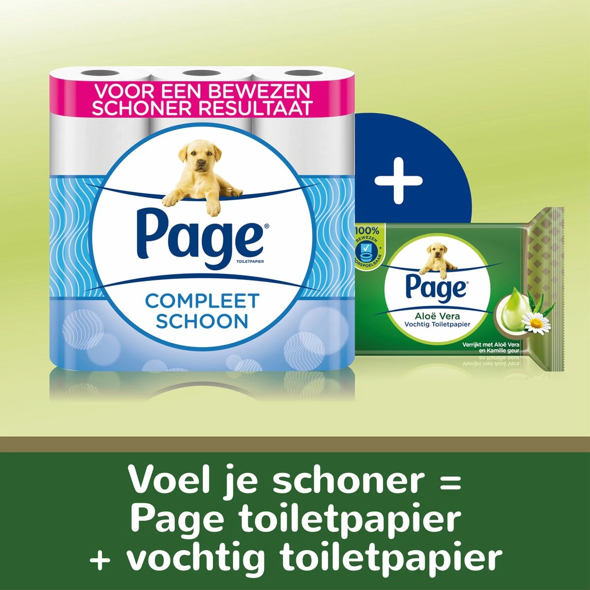 Page Vochtig Toiletpapier - 12 X 38 Stuks - Aloë Vera Vochtig Wc Papier - Voordeelverpakking 3 Page Vochtig Toiletpapier - 12 X 38 Stuks - Aloë Vera Vochtig Wc Papier - Voordeelverpakking - Afbeelding 3