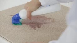 Dr. Beckmann Tapijtvlekkenborstel - Tapijtreiniging - Tapijt Vlekverwijderaar Met Borstel - Schoon Tapijt - Dierenvlekkenverwijderaar -Huishoudelijke Schoonmaak 1200x674