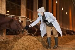 ANSELL MICROFLEX® 93-732 - Nitril Wegwerp Handschoenen, Latexvrij, Poedervrij, S, Zwart, 100 Stuks (0.7-0.11mm) -Huishoudelijke Schoonmaak 1200x799 17