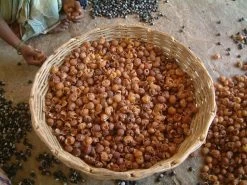 Wasnoten Start 150gr Met Waszakje - Zeepnoten - Natuurlijk Wassen -Huishoudelijke Schoonmaak 1200x900