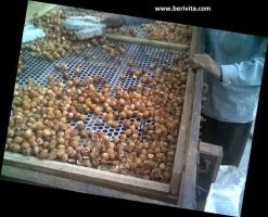 Wasnoten Start 150gr Met Waszakje - Zeepnoten - Natuurlijk Wassen -Huishoudelijke Schoonmaak 1200x973