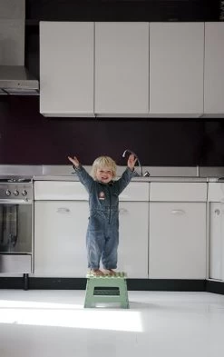 PUHLMANN - Inklapbare Kruk, JAMES, Plastic, Groen, 22 Cm Hoog, Max 100kilo -Huishoudelijke Schoonmaak 755x1200 1