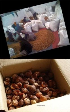 Wasnoten Start 150gr Met Waszakje - Zeepnoten - Natuurlijk Wassen -Huishoudelijke Schoonmaak 755x1200